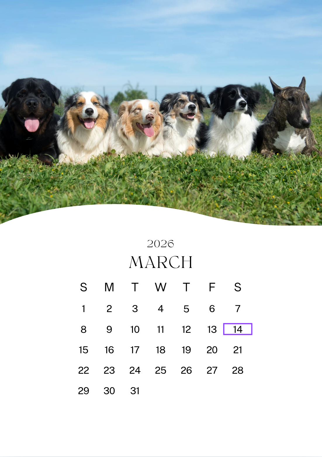 ✨ Personalised A4 Wall Calendar – Custom Photo Gift | Family, Friends, Offi